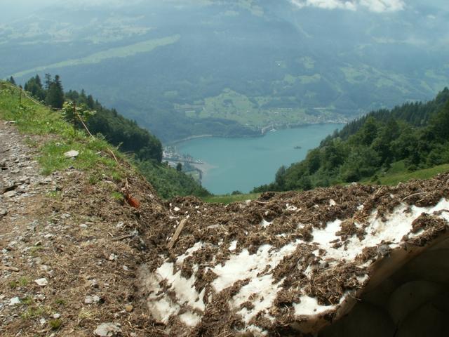 unten Sommer oben liegt noch Schnee