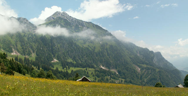 Breitbildfoto bei Lüsis mit Sichelchamm