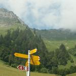 Blick rauf zum Nideripass. Den haben wir auch schon bezwungen