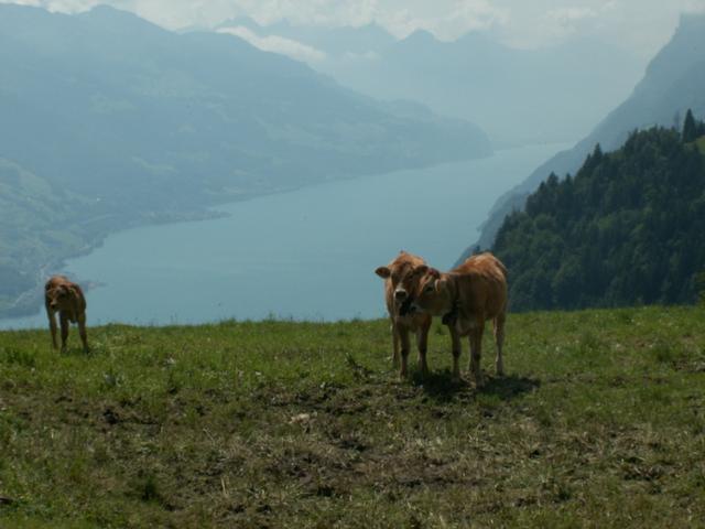 eine sehr schöne Aussicht von hier oben