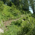 steil und zum teil rutschig geht es aufwärts