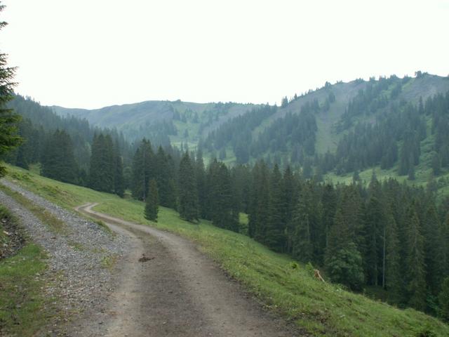 wir laufen Richtung hinter Palfris