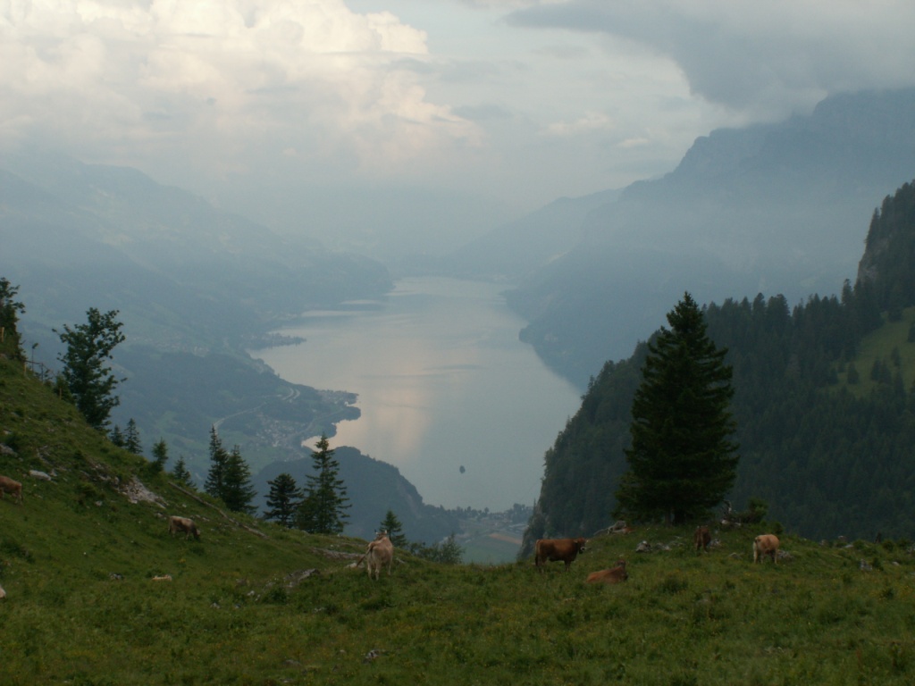 wie ein Fjord sieht der Walensee aus