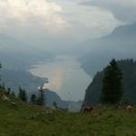 wie ein Fjord sieht der Walensee aus