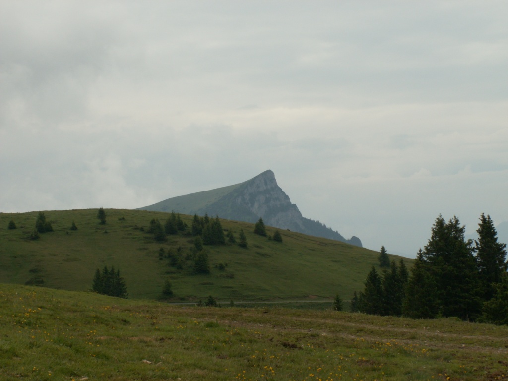 unser Ziel der Gonzen