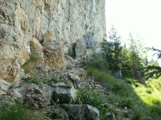 direkt an der Felswand führt der Weg geradeaus