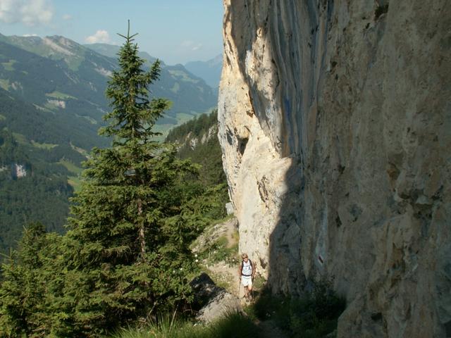 Blick zurück