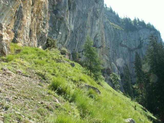 ein richtig schöner Wanderweg