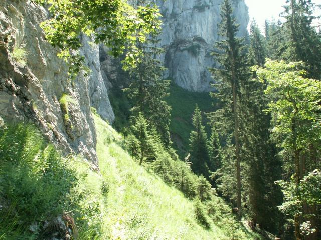 wenn man genau hinsieht, ist der Weg ersichtlich