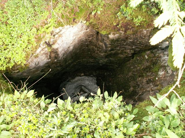 der Bödmerenwald ist ein Kartsgebiet mit vielen Spalten