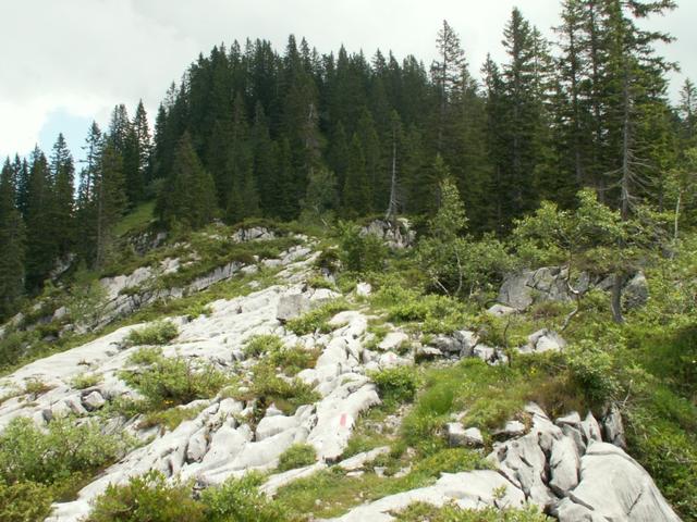 es geht Richtung Roggenstöckli