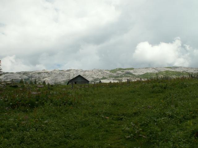 wir haben Alp Bödmeren auf 1634 m.ü.M. erreicht