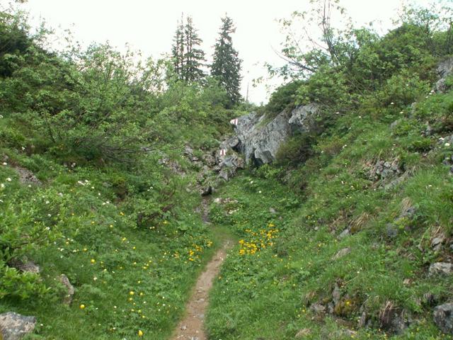 es geht runter zum Pragelpass