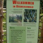 Infotafel zum Bödmerenwald