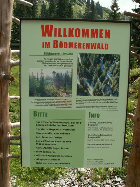 Infotafel zum Bödmerenwald