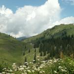 Blick zurück zum Pragelpass 1551 m.ü.M.