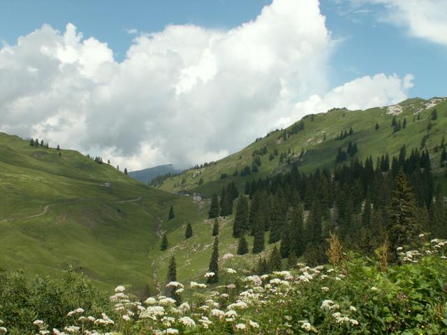 Blick zurück zum Pragelpass 1551 m.ü.M.