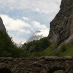 Blick von der Pantenbrugg zum Tödi