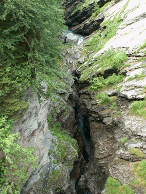 die tiefe Linthschlucht bei der Pantenbrugg