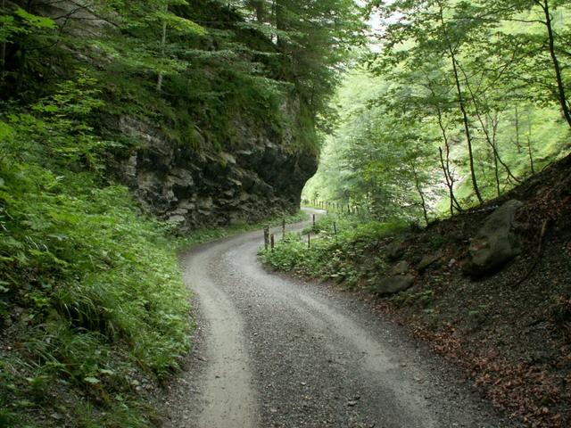 bei Sandwiti im Sandwald 1042 m.ü.M.