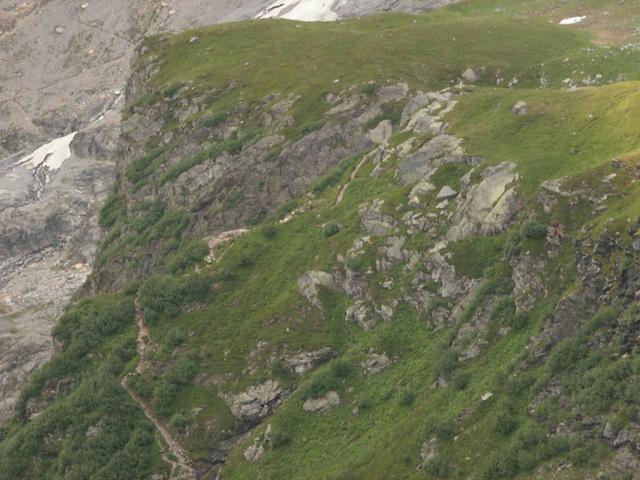 Blick zum Bergweg bei Ölplanggen der zur Fridolinshütte führt