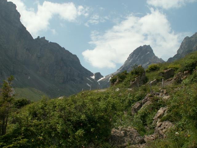 Blick zurück. Von dort oben sind wir gekommen