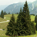 Breitbildfoto bei Altstafel 1528 m.ü.M.