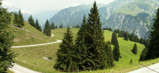 Breitbildfoto bei Altstafel 1528 m.ü.M.