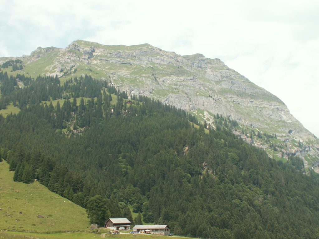 Auf Chäsboden 1328 m.ü.M. mit Blick zum Chamerstock