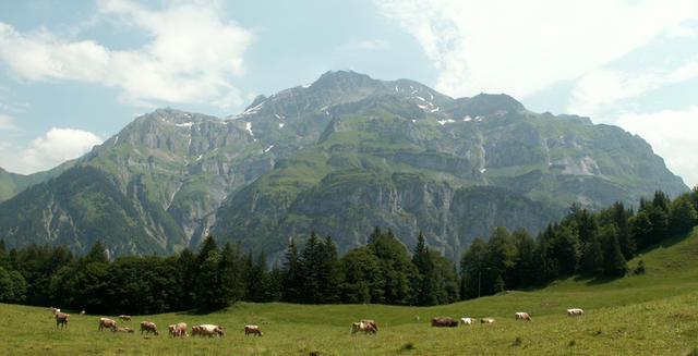 Breitbildfoto Vorstegstock, Rüchi, Nüschenstock und Muttenchopf