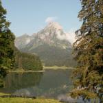 Blick auf den Obersee mit Brünnelistock