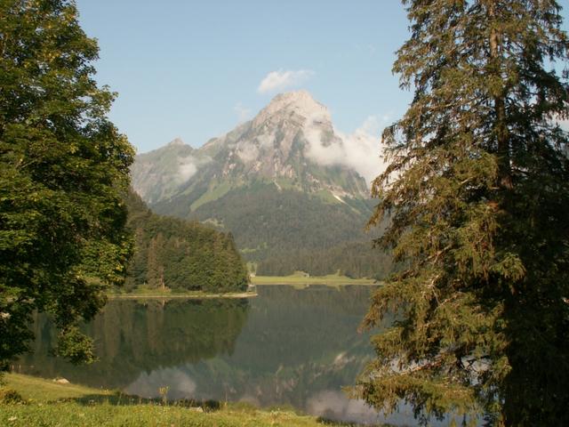 Blick auf den Obersee mit Brünnelistock