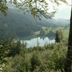 Blick runter zum Obersee