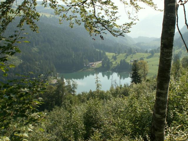 Blick runter zum Obersee