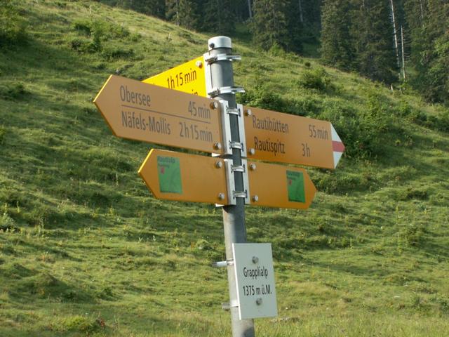 Wegweiser bei der Grapplialp 1375 m.ü.M.