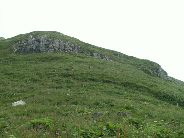 bei Punkt 2012 m.ü.M. mit Blick Richtung Rautispitz