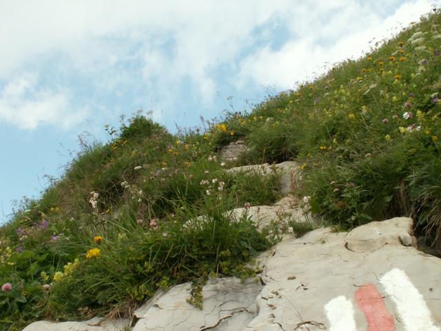 auf dem Bergpfad Richtung Rautispitz