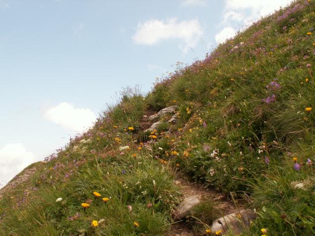 ein schöner Bergpfad