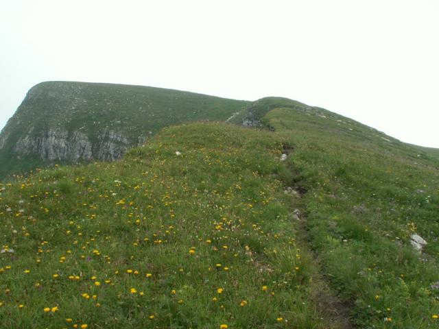 bevor es noch einmal steil aufwärts geht, eine schöne Gratwanderung