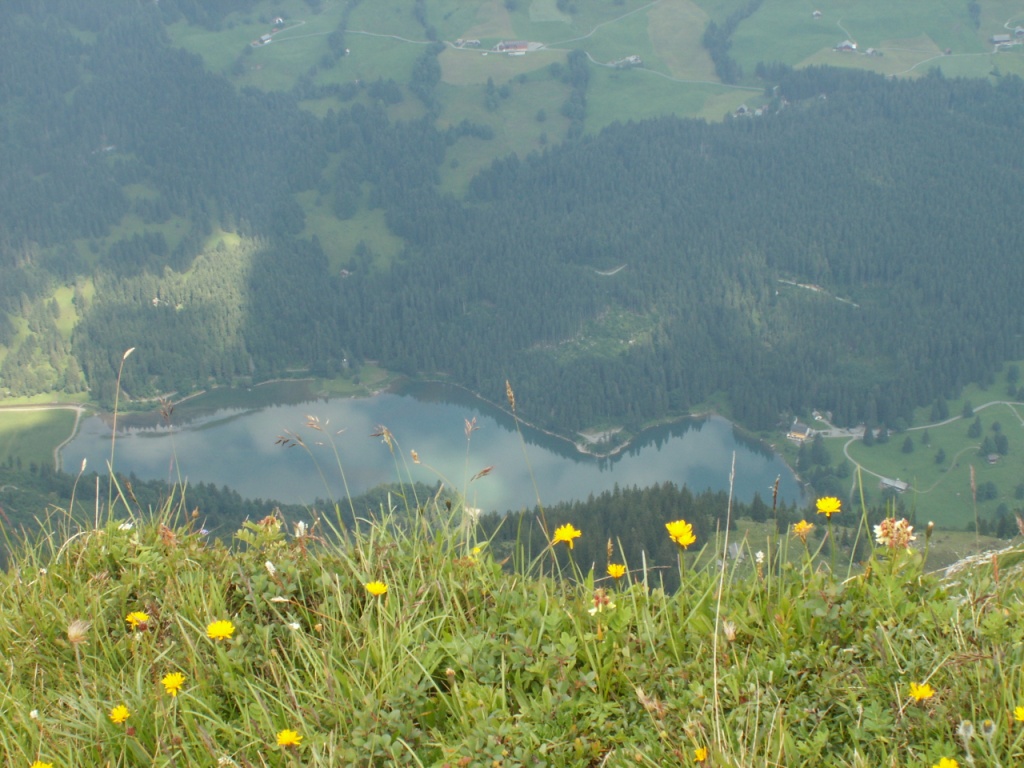 der Obersee von oben