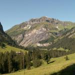 auf Schwammböden 1326 m.ü.M. mit Blick zum Foostock