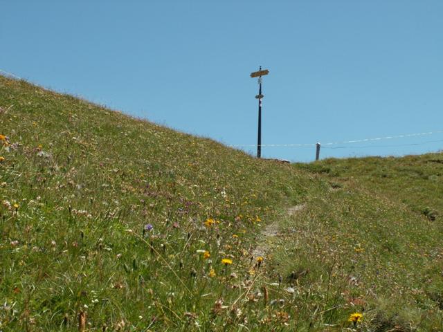 Blick zurück zum Foopass