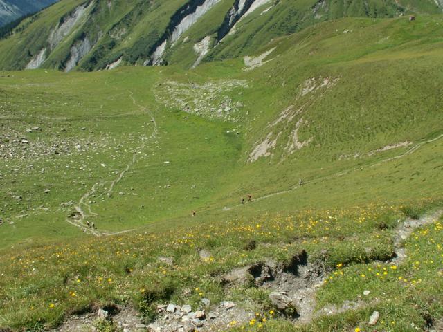 Alp Ramin