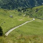 auf einer Kiesstrasse geht es runter nach Elm