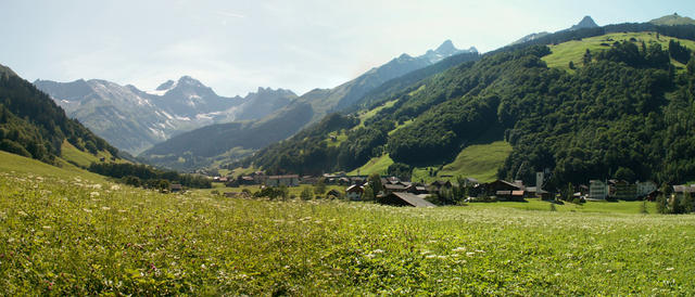 Breitbildfoto von Elm