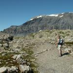 Mäusi hat den Panixerpass 2407 m.ü.M. erreicht