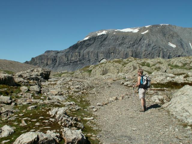 Mäusi hat den Panixerpass 2407 m.ü.M. erreicht