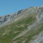 gut ersichtlich der Bergpfad vom Panixerpass runter in die Alp Mer