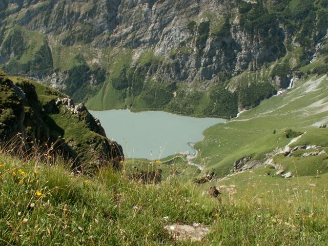 Tiefblick runter zum Stausee Lac de Pigniu