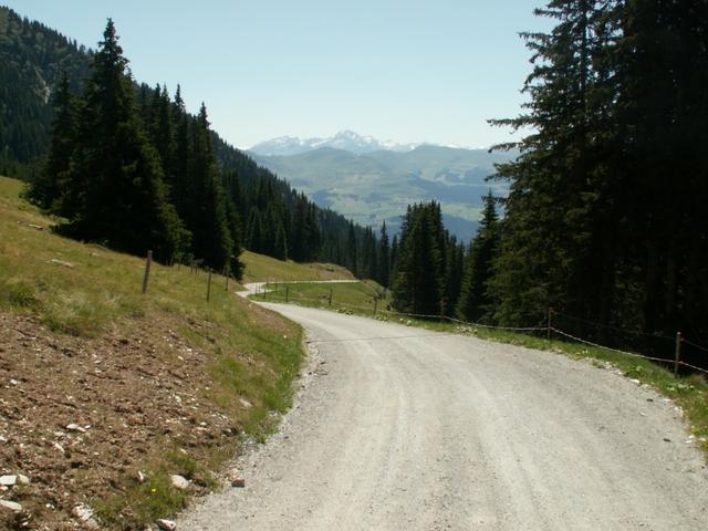 auf einer Fahrstrasse geht es runter nach Pigniu